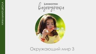 Духовная жизнь древнего человека | Окружающий мир 3 класс #16 | Инфоурок