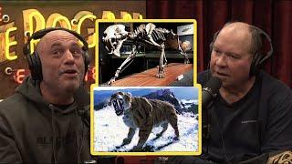 Joe Rogan: Sabre tooth tigers found in Alaska!! and Ancient fossils being stolen from him.