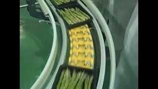 British asparagus in action - from field to store