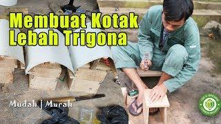 Cara Membuat Kotak Lebah Trigona/Klanceng Proses Mudah Biaya Murah