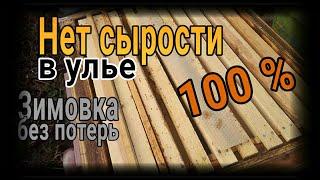 % Сырости нет в ульях круглый год! Зимовка без потерь!