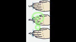 The length of your finger shows which personality you have. #palmistry #handreading #personality #vi