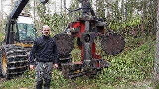 The Mighty Log Max 7000 Harvester Head on a Eco Log 590D Harvester