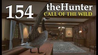 TheHunter Call of the Wild  НОВЫЕ ЧУЧЕЛА ПЕРНАТАЯ ДИЧЬ # 154