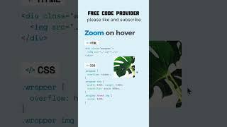 Image Zoom Effect On Hover CSS \\ zoom on hover #css #html #trending #viral #code #youtubeshort