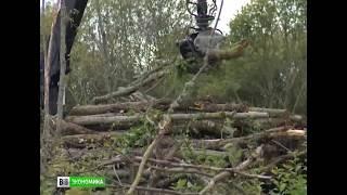 Расчистка сельскохозяйственных земель // Clearing of agricultural land