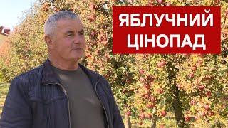 Рік вирощували, а продають за безцінь, куди збувати яблука фермерам?