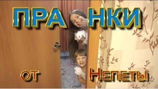 @NepetaFamily  пранки и розыгрыши на РОДИТЕЛЯМИ! от непеты кролик Ляля!