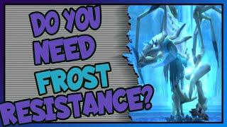 Do you need Frost Resistance for Sapphiron? | Naxxramas | Classic WoW