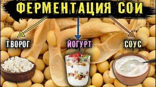 Рецепт ферментированных соевых бобов #веганство #здоровоепитание #безмолока