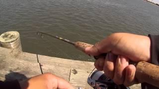 Fishing for Bluefish at the Absecon Bay (Atlantic City, NJ)