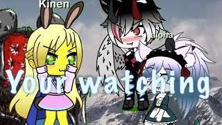 Intro for bunny creams contest