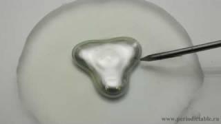 Mercury beating heart