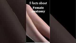 5 facts about female anatomy #shorts 5