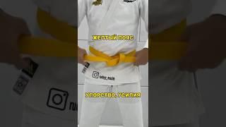 Какой пояс у тебя!?  #школаносова #дзюдо #дзюдодети #самбо #самбодети #спорт #борец #борьба