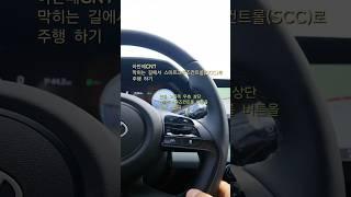 아반떼CN7  막히는 길에서 스마트크루즈 컨트롤(SCC) 주행