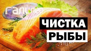 Галилео. Чистка рыбы  Fish cleaning