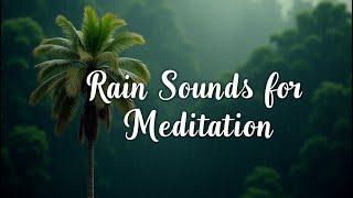 Rain Sounds & Relaxing Music 24/7 ️ Piano Music, Sleep, Study, Yoga, Stress Relief, Meditation