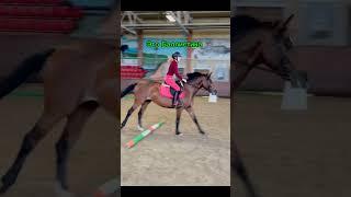 Приколы #смешно #приколы #мем #horse #riding #sports