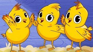 LOS POLLITOS DICEN PIO PIO | Canciones Infantiles | Toy Cantando