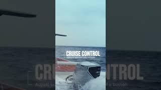 Honda Marine BF350 Features - Cruise Control