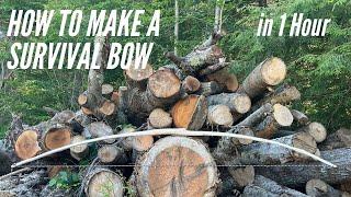 How to Make A Survival Bow | 1 Hour Build