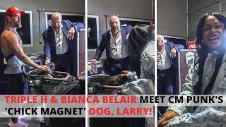  TRIPLE H & BIANCA BELAIR MEET CM PUNK'S 'CHICK MAGNET' DOG, LARRY!