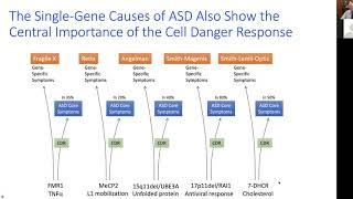 Mitochondria, Autism, the Cell Danger Response, and Suramin