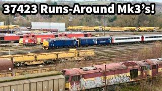 TRACTOR Runs-Around EASTERN RAIL Mk3 Coaches at Toton & Passing Locos & 60056 on depot! 11/12/24