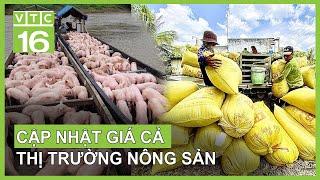 Giá cả thị trường nông sản mới cập nhật| VTC16