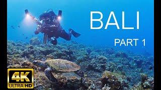 4K THE BEST DIVING IN BALI / Tulamben / part 1/ Relax / 2022 /