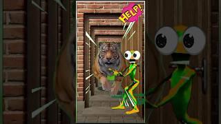 tiger and Dame tu Cosita Doordash ll #shorts #vfx #tiger #dametucosita
