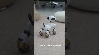 Obsessed with this AI robotic pet! Code (dzf6247) for discount and £100 coupons, app new users only