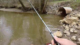 Bank Fishing with LIGHT action Line (Berkley NanoFil)