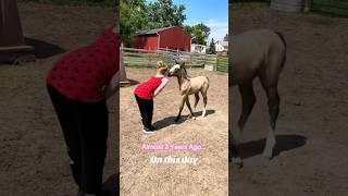 How Is My Filly So BIG Now? 