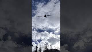 Bungee Rocket, Manali