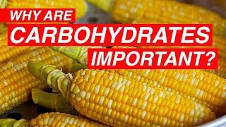 Why Are Carbohydrates Important?