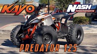 2022 Kayo Predator 125 Walk-Around