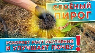 Слоеный пирог для почвы. Ускоряет рост растений и улучшает почву!