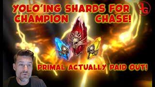MASSIVE SHARD YOLO for Champion Chase - Raid Shadow Legends #raidshadowlegends
