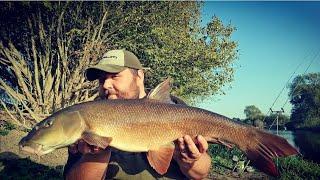 Barbel Fishing On The River Severn - Manic Session!!