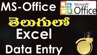 MS Office in Telugu - Data Entry in Excel