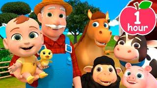 Old MacDonald Had a Farm | Newborn Baby Songs & Nursery Rhymes