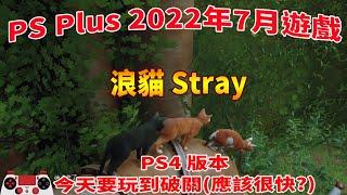 舊直播 PS4遊戲 浪貓Stray 7~12(END) 後期攻略流程→詳參時間目錄