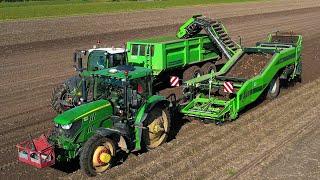 Aardappels rooien | Potato harvest | Kartoffelernte | AVR Lynx | John Deere | Aardappeloogst 2024