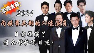 2024年内娱最头部的30位男演员，目前接演了什么影视项目呢？2024内娱影视宇宙 Films and dramas starring Chinese top actors in 2024