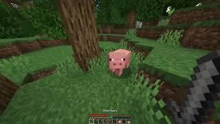 Minecraft Survival No jumping Challenge! Part 1 Dangerous Caving! Long Video!