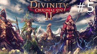 Divinity Original Sin 2 Тайна черного кота.