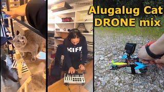 Alugalug Cat X The Kiffness Drone mix Areyouroo