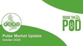 Inside the Pod - Pulse Market Update: October 2024